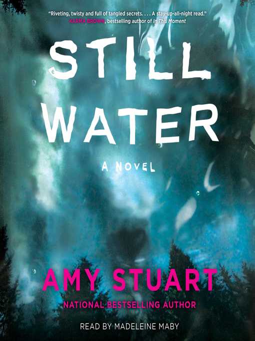 Title details for Still Water by Amy Stuart - Wait list